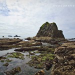 West Coast {Washington} Rialto & Ruby Beaches {2 of 2} | Photographie 51